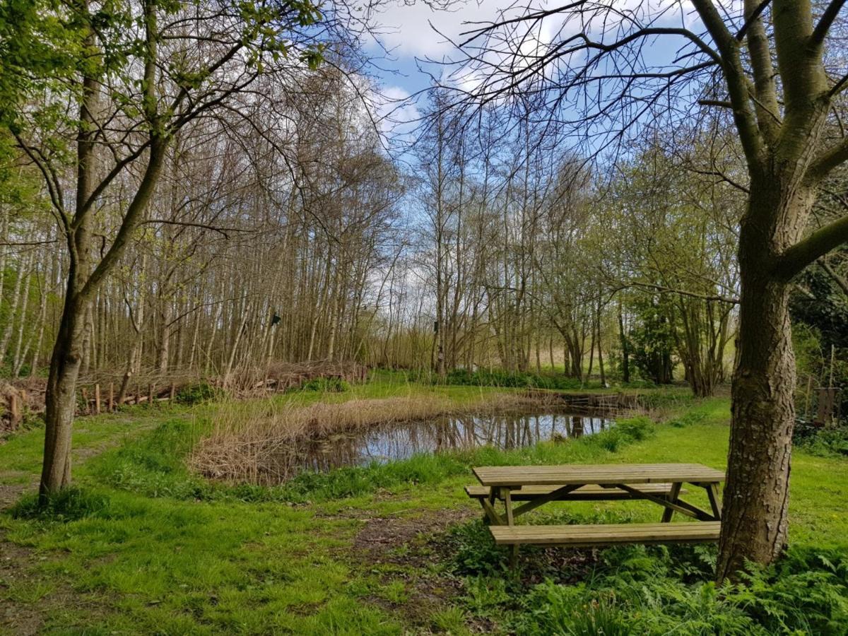 B & B De Tocht Berkhout Exteriér fotografie