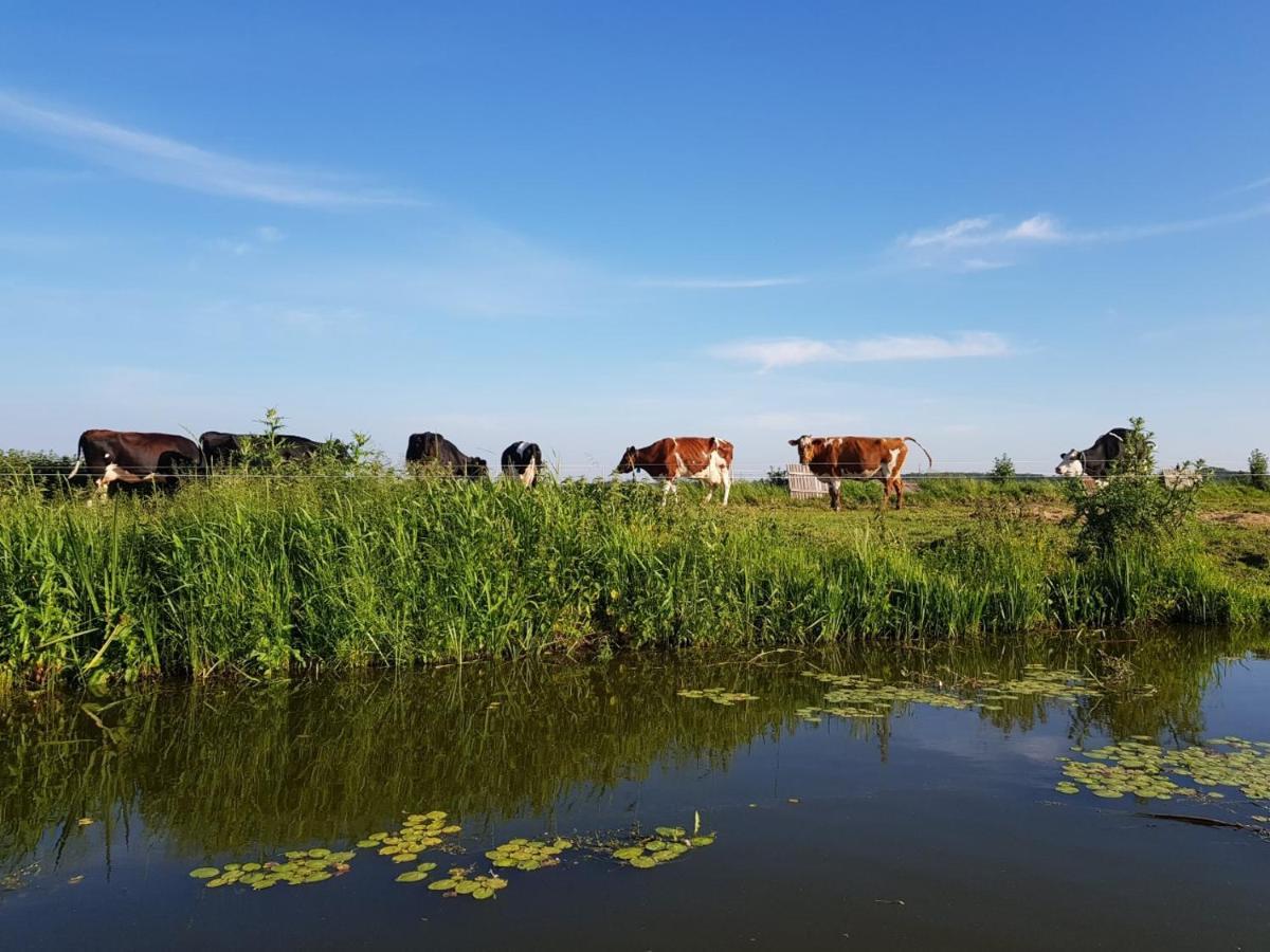 B & B De Tocht Berkhout Exteriér fotografie